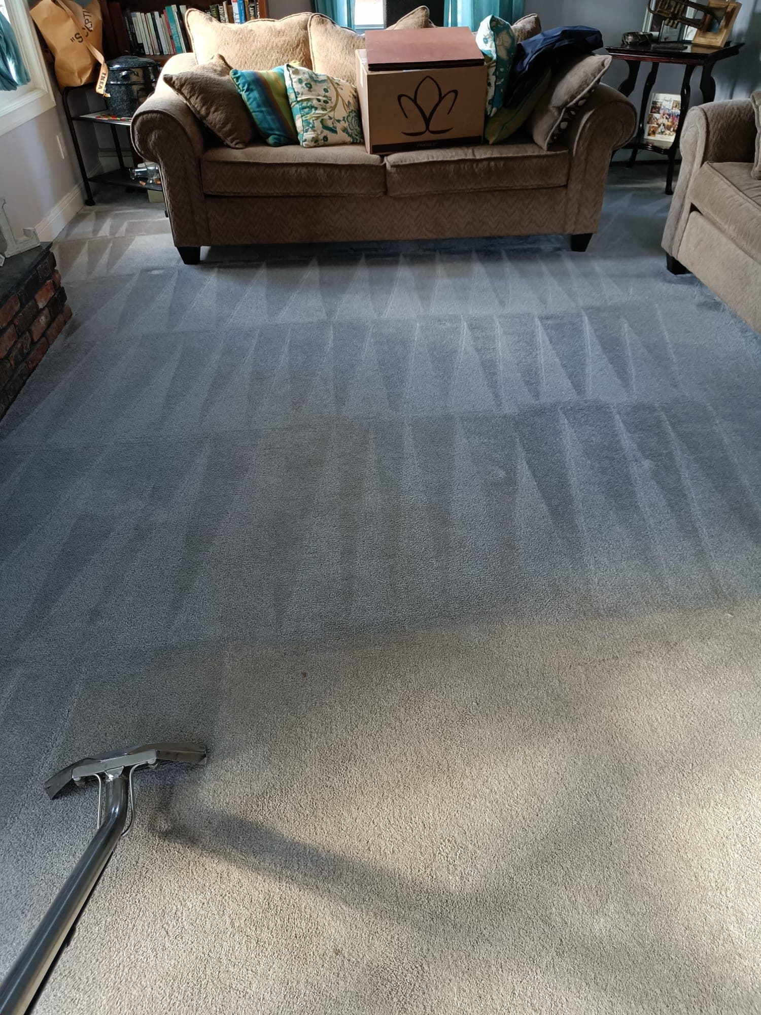 Real Zep job in Lyndhurst NJ: gray living-room carpet with fresh hot-water extraction V-pattern, wand still in frame, brown sofa in background