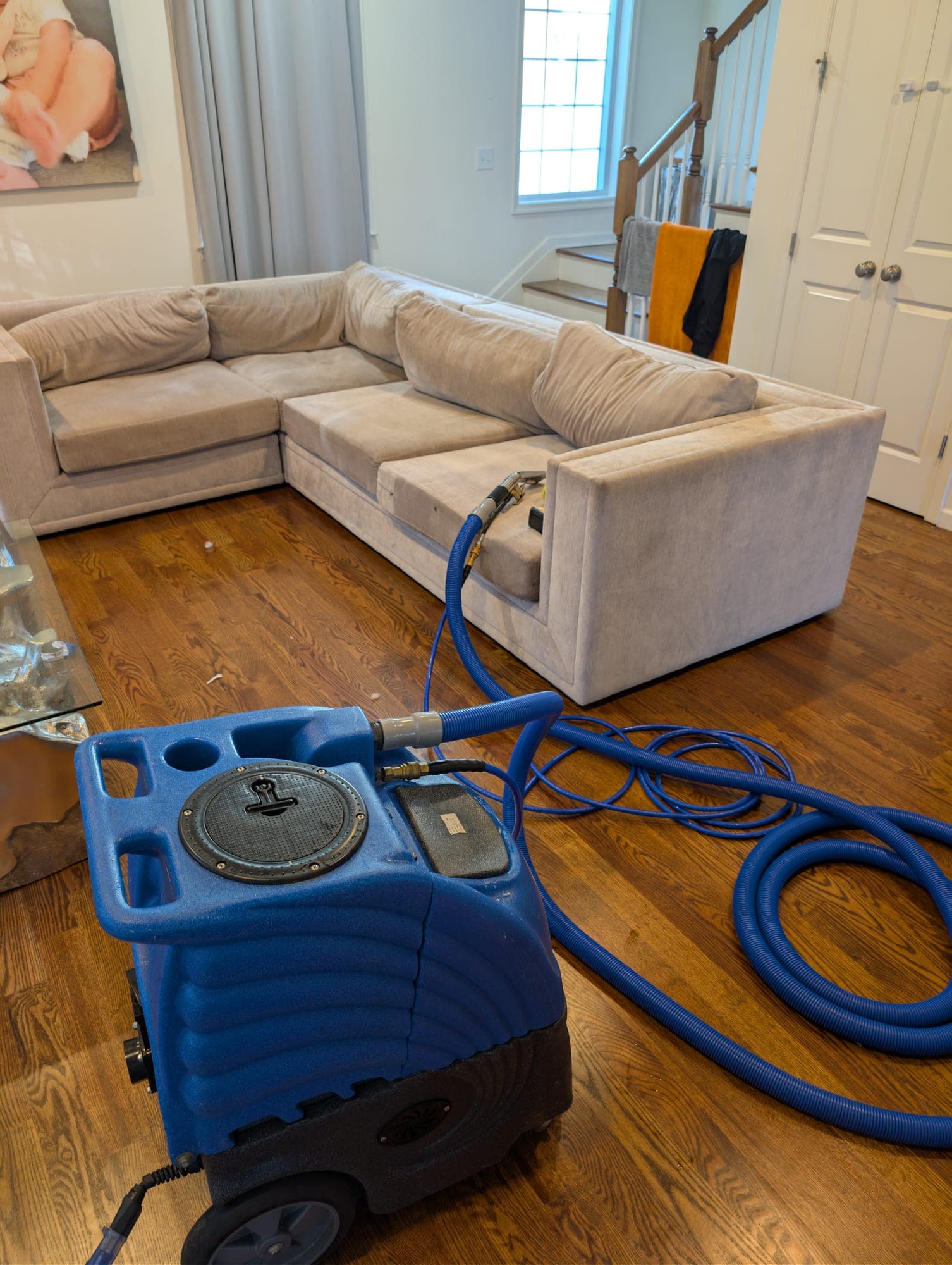 Gray sectional sofa with upholstery extraction tool hooked up, blue equipment on hardwood floor