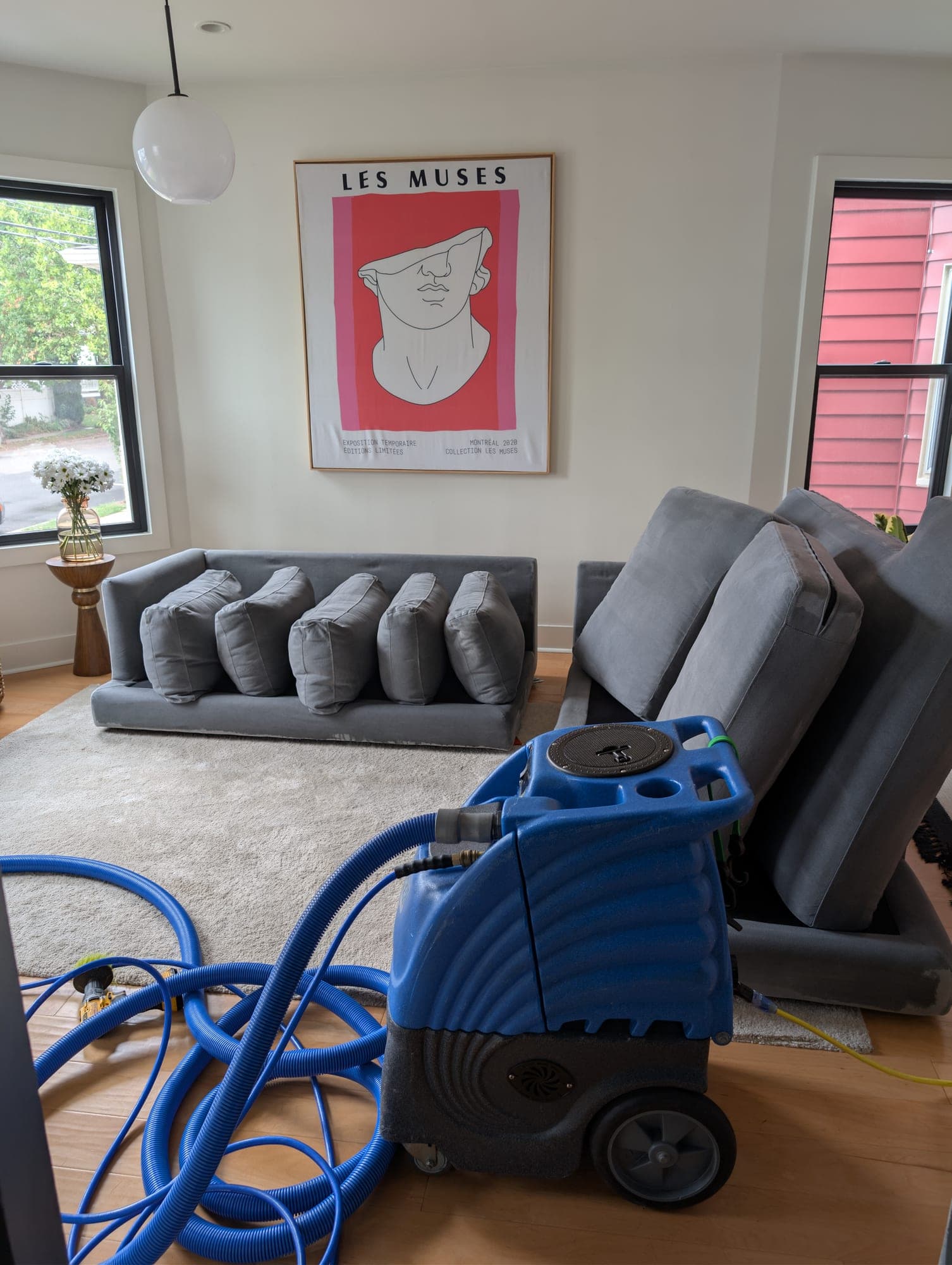 Modern living room with gray sofa cushions removed for cleaning, blue extractor in foreground
