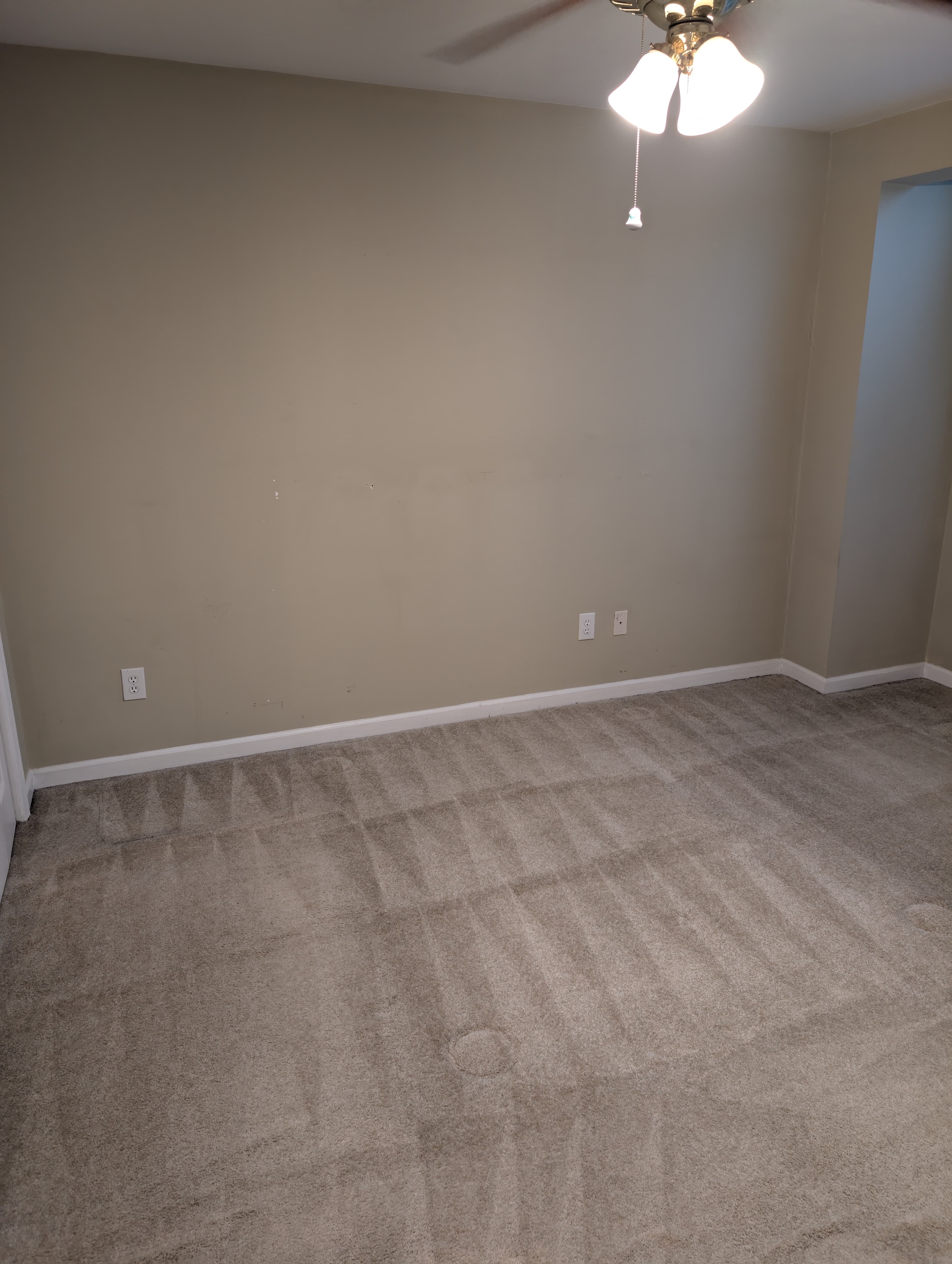 Clean carpeted space — similar look to a refreshed medical waiting area