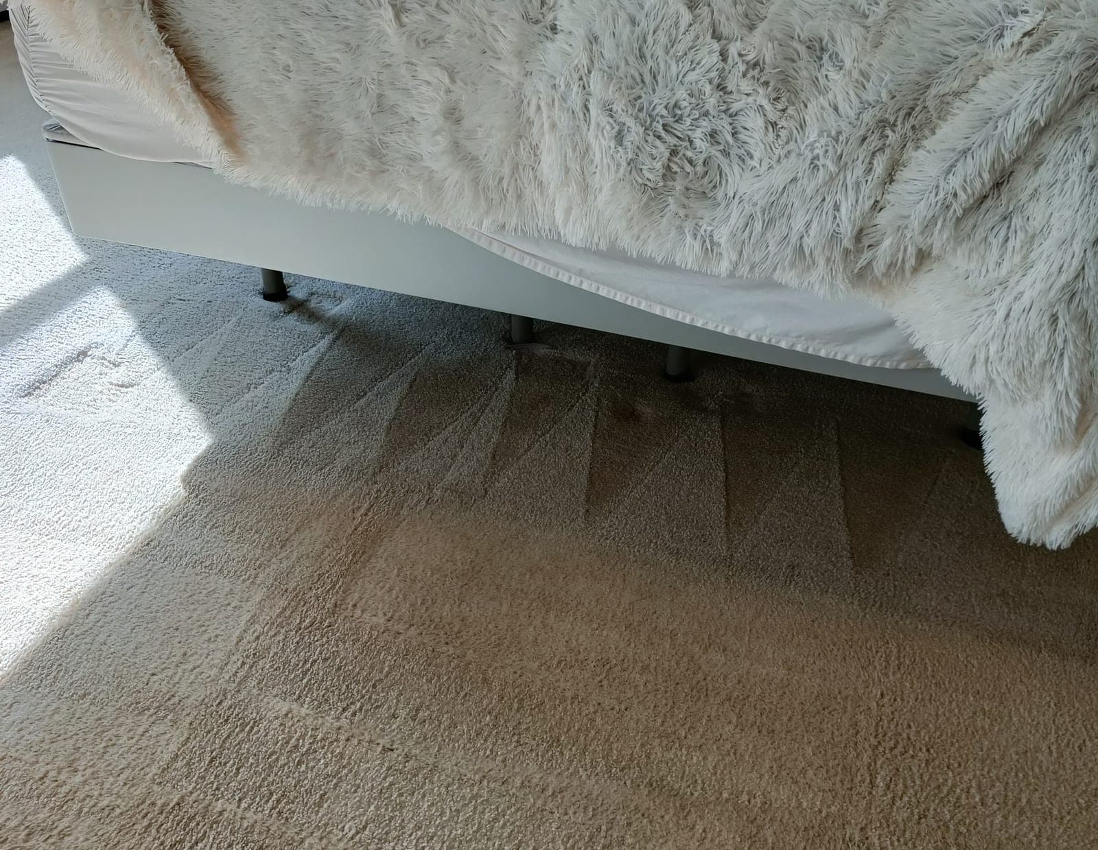 Bedroom with freshly extracted carpet, where deep hot-water cleaning lifts dust-mite and flea debris from the pile