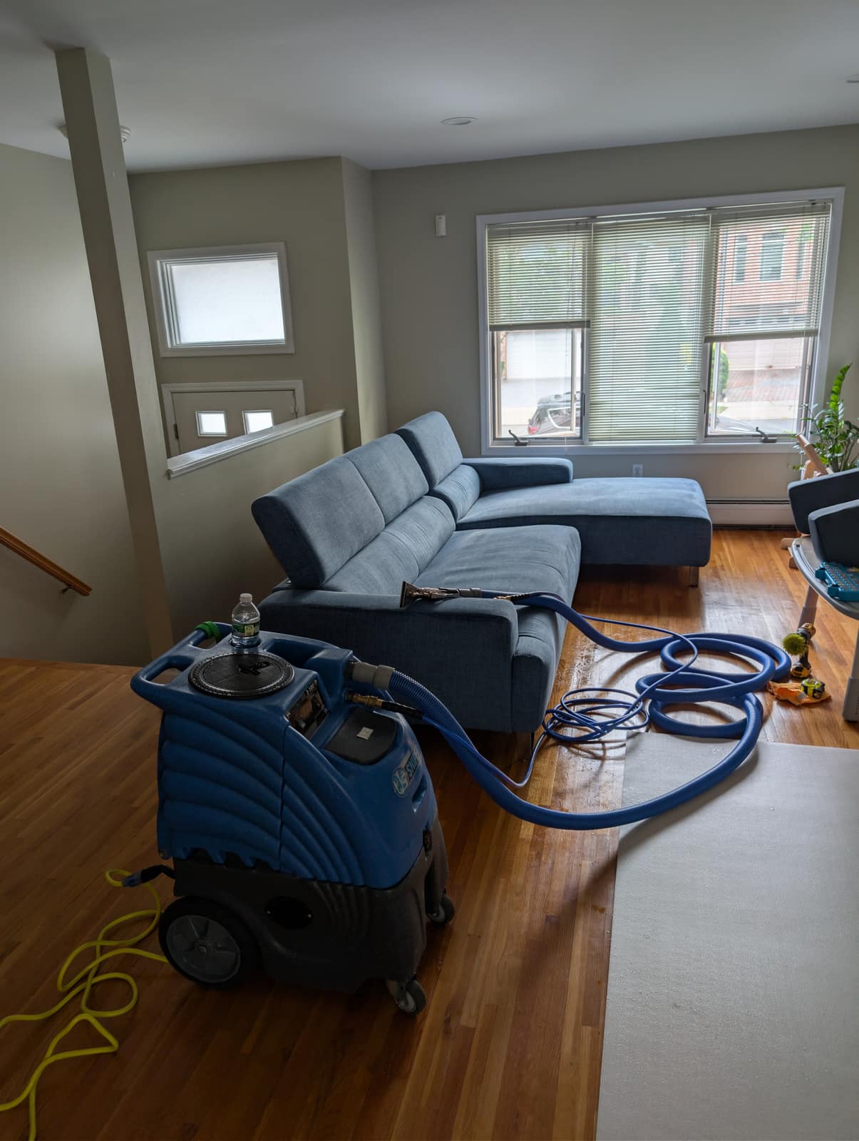 Light blue sectional being cleaned by a bay window with an NJ city view, blue extraction unit on the hardwood floor