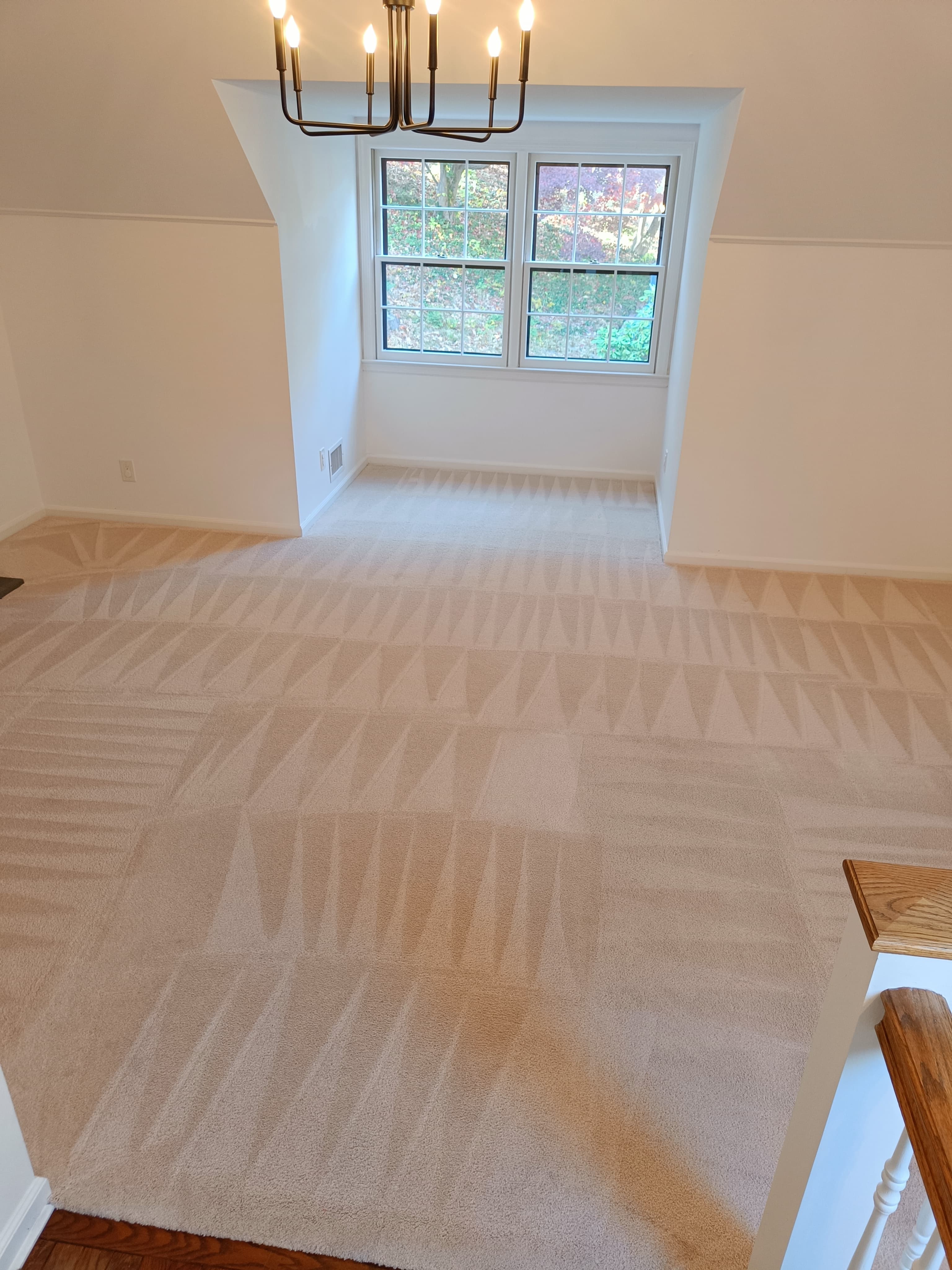 Large-room carpet cleaning suitable for hospitality lobby or conference space