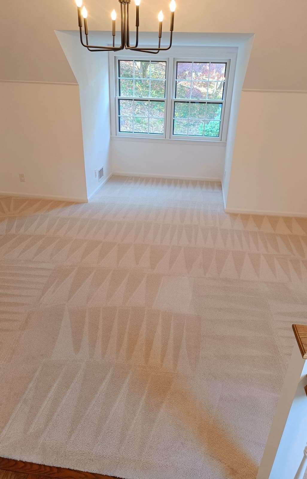 Cream-carpeted dining room freshly treated and cleaned after pet-odor removal, window looking out to trees