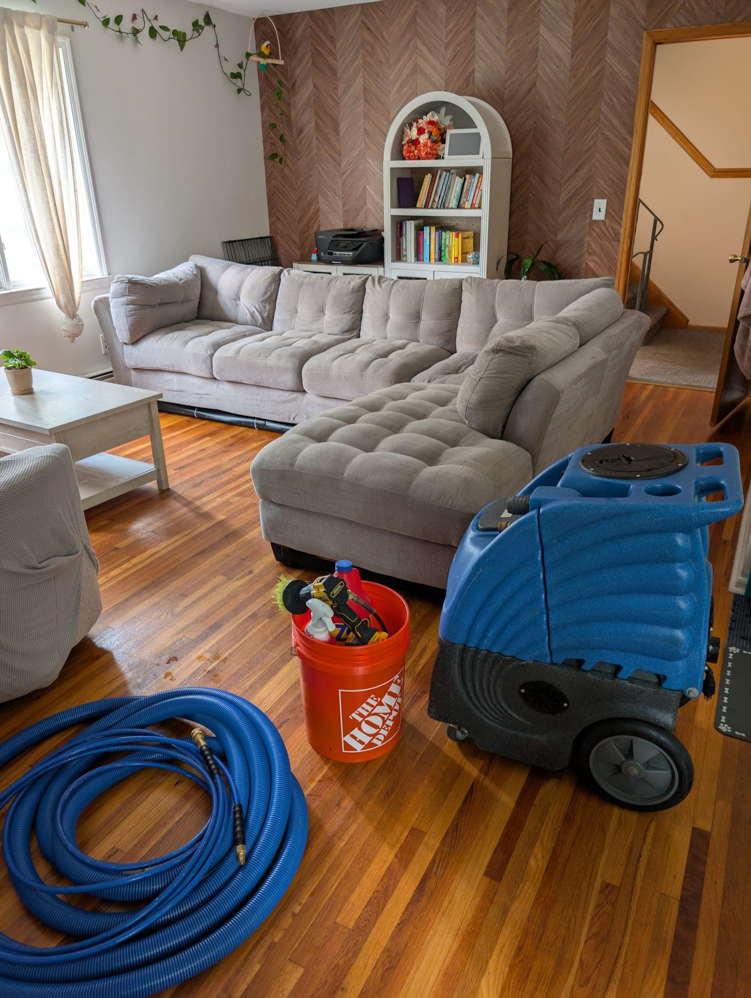 Zep crew setup on a real Bergen County NJ job — gray sectional living room with coiled blue hot-water extraction hose ready, Home Depot bucket of pre-treat solutions