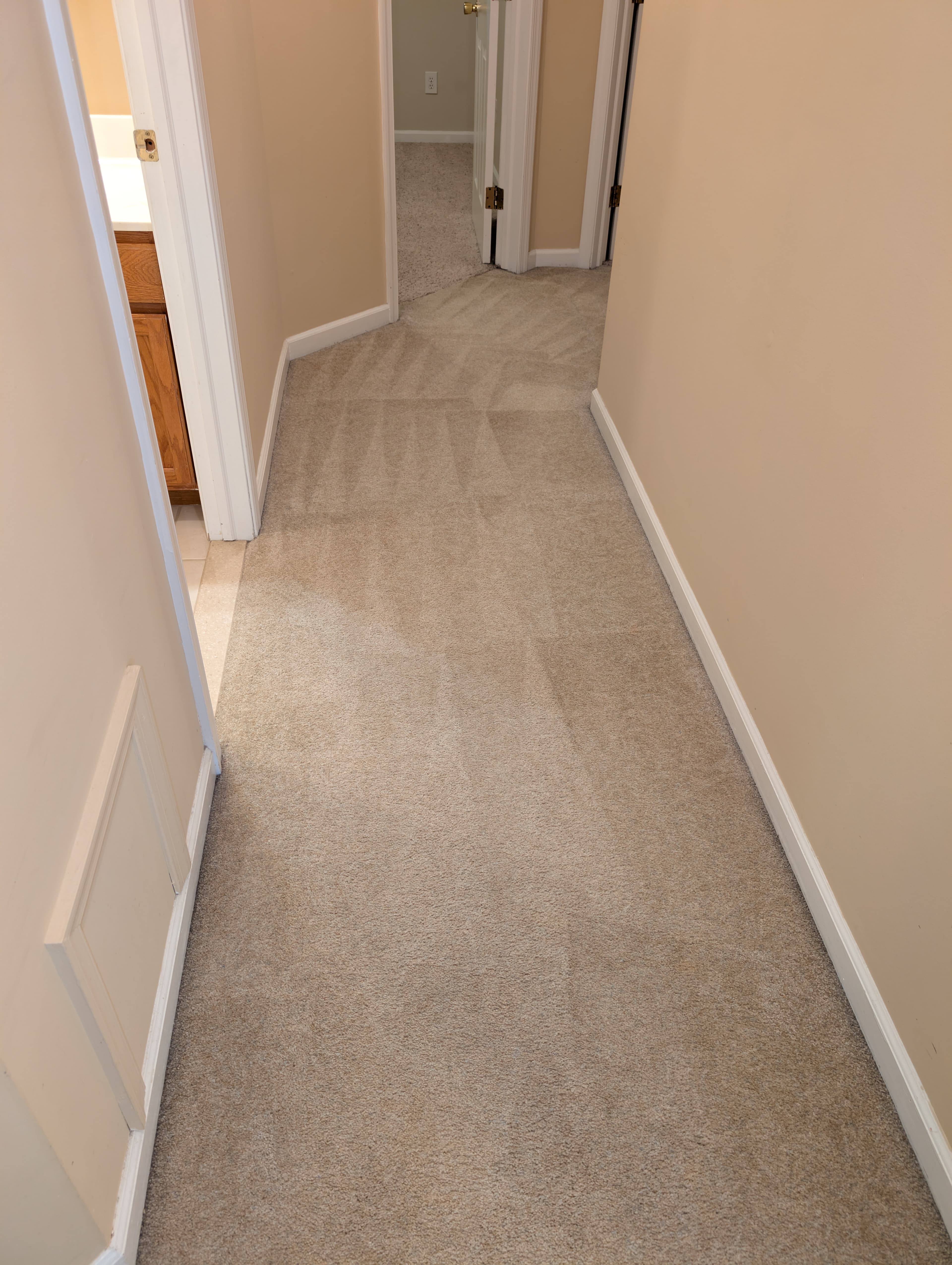Long carpeted hallway — similar to an office corridor between conference rooms