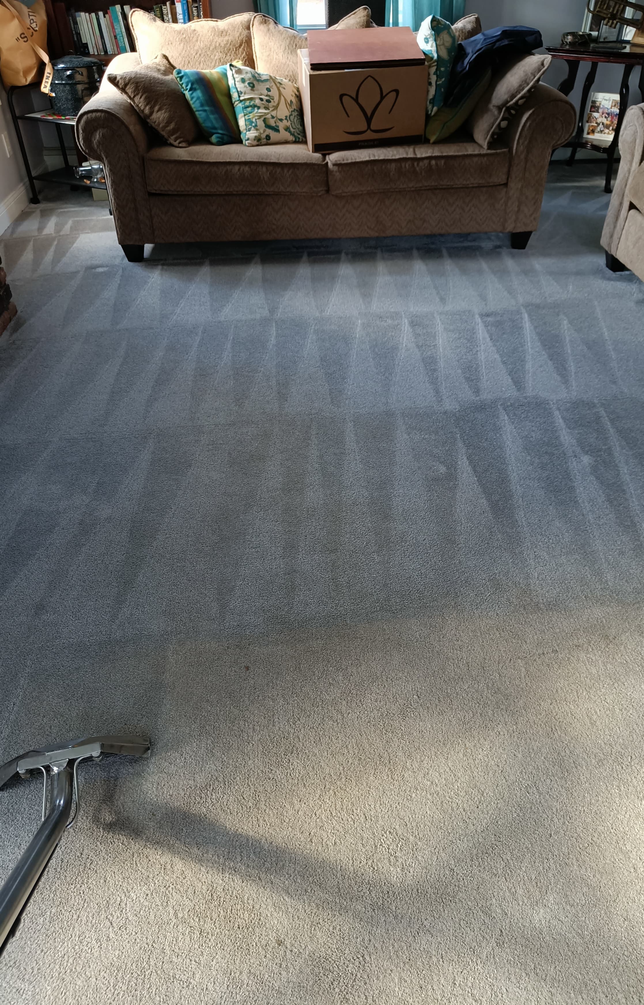 Living-room carpet after cleaning near Hackensack