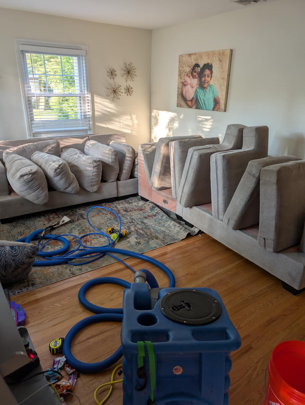 Gray sectional with all cushions removed for a deep clean over an Oriental rug, blue extractor in a family room