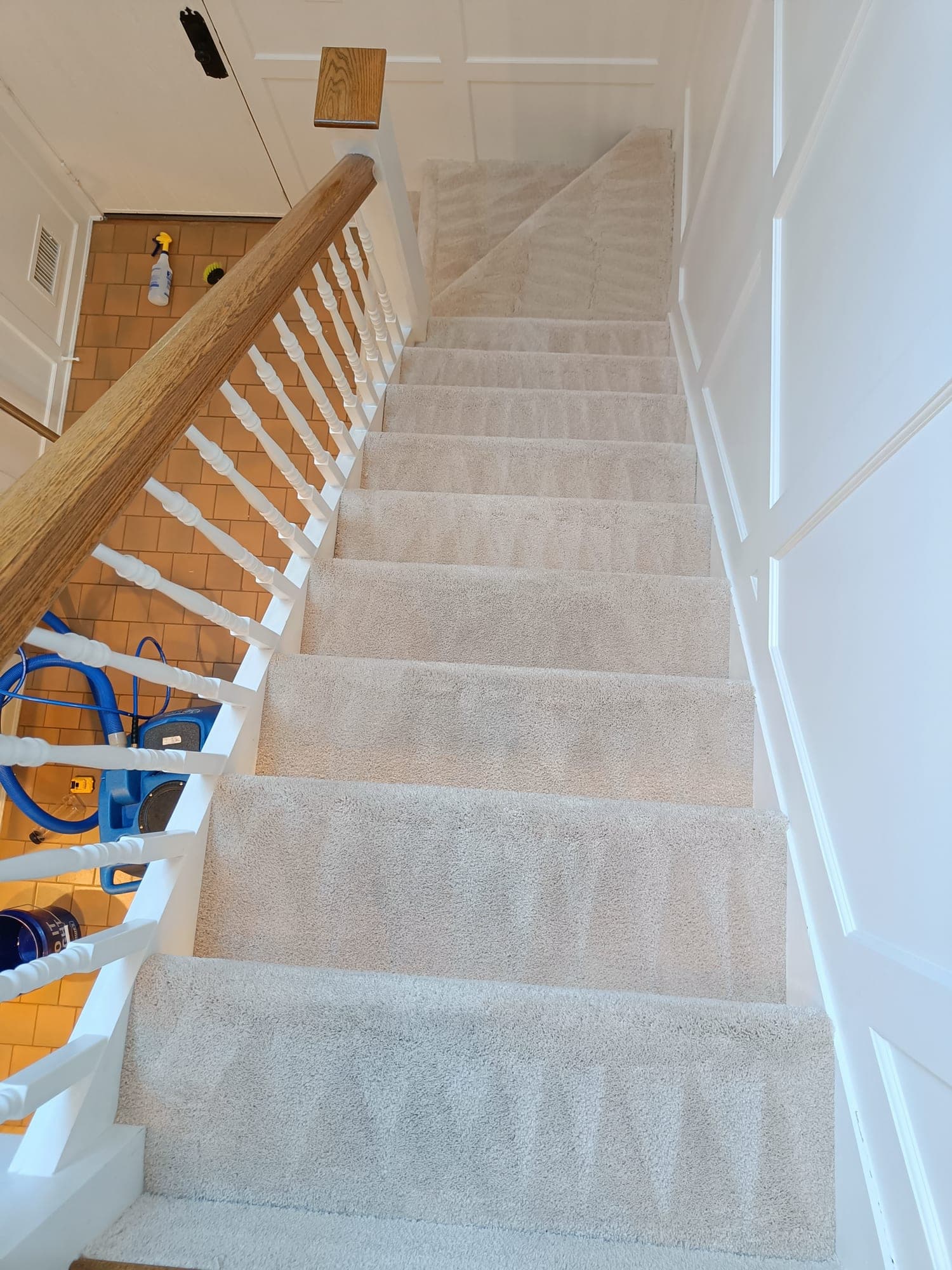 White-carpeted staircase looking up, freshly installed or fully extracted, foyer below