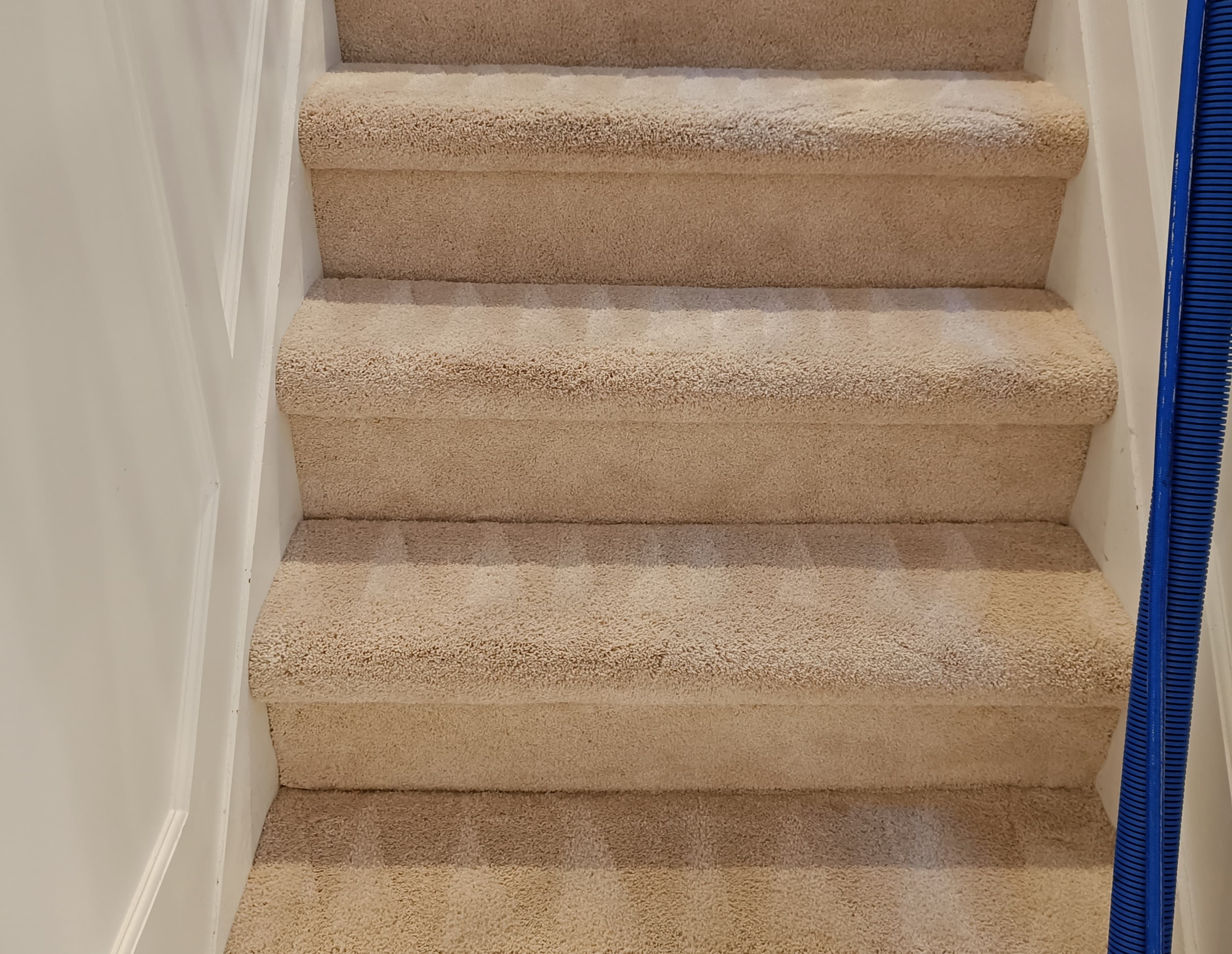 Carpeted staircase after extraction near Hackensack